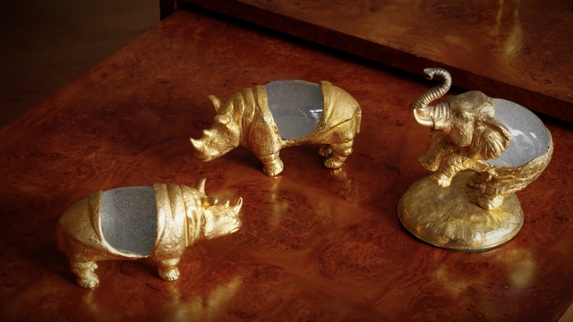 Video Fine Design | Esposizione aperta